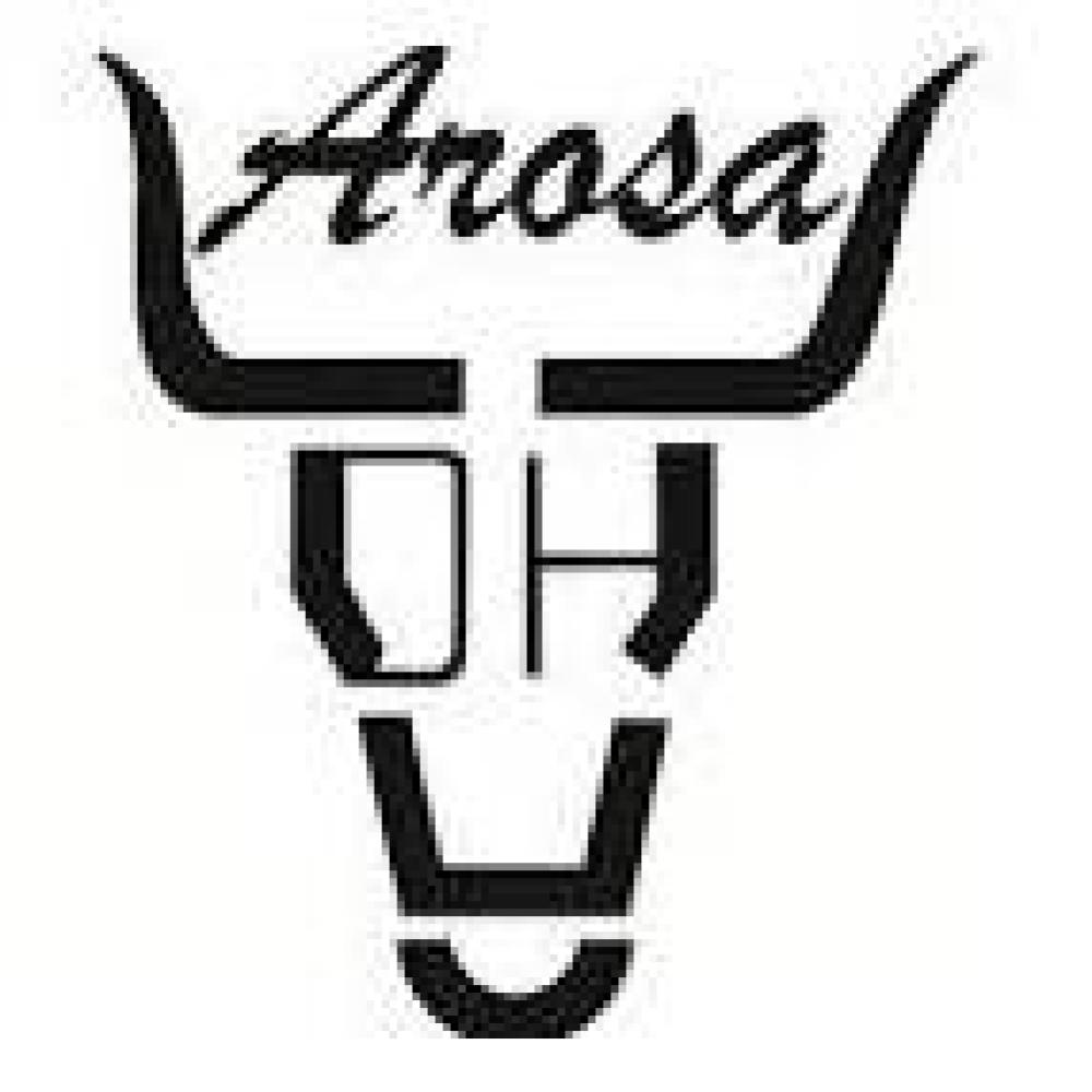 Arosa Limited